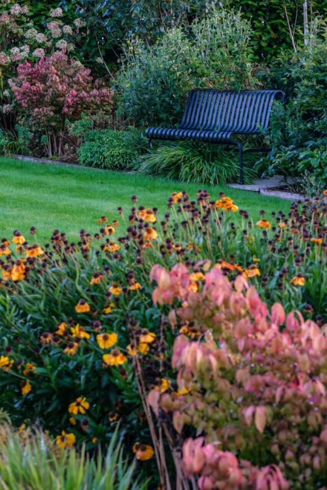 A black metal bench next to the lawn and nestled in planting