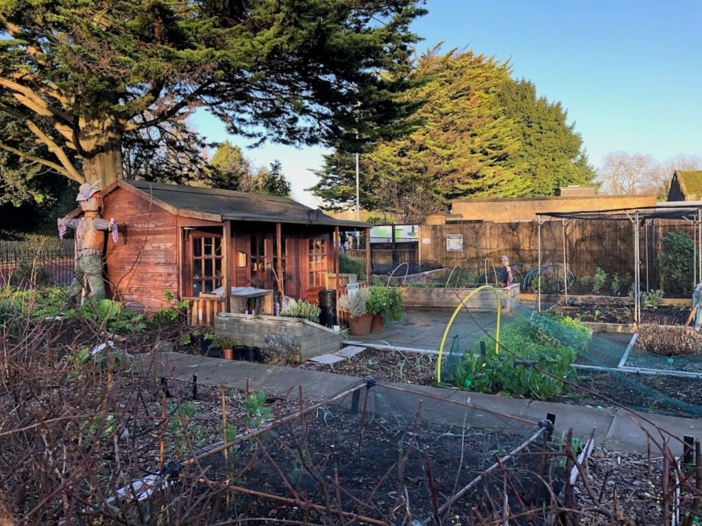 One of the therapeutic community gardens that is part of the Trellis network.