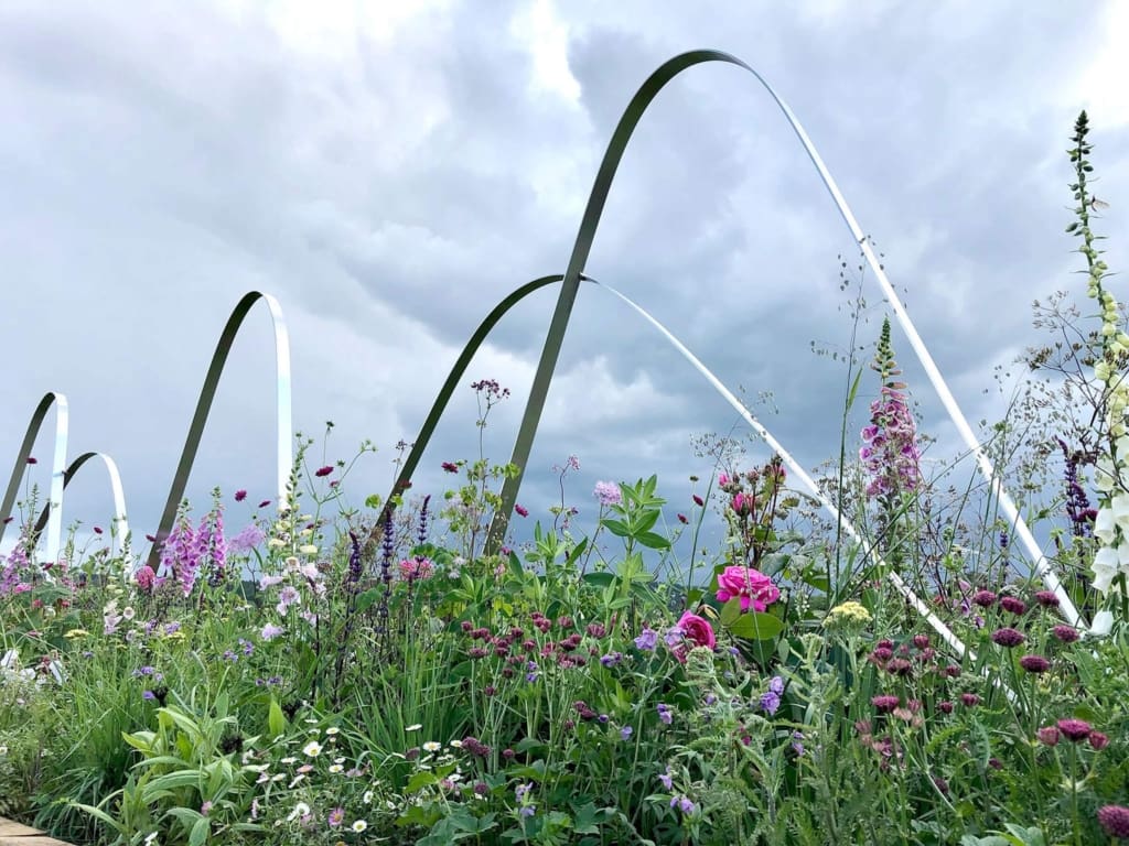 The Healing Power of Scent Long Border at RHS Chatsworth Flower Show 2019 designed by Rachel Bailey and Nicola Sweeney