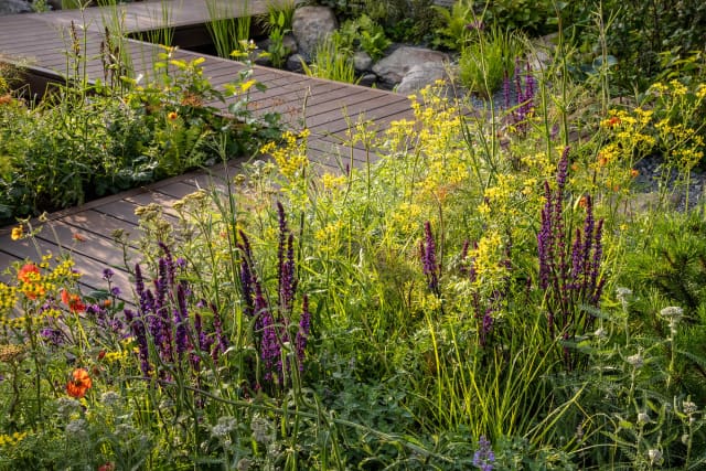 Bamboo deck boardwalk suspended over the pond leading to pergola and deck