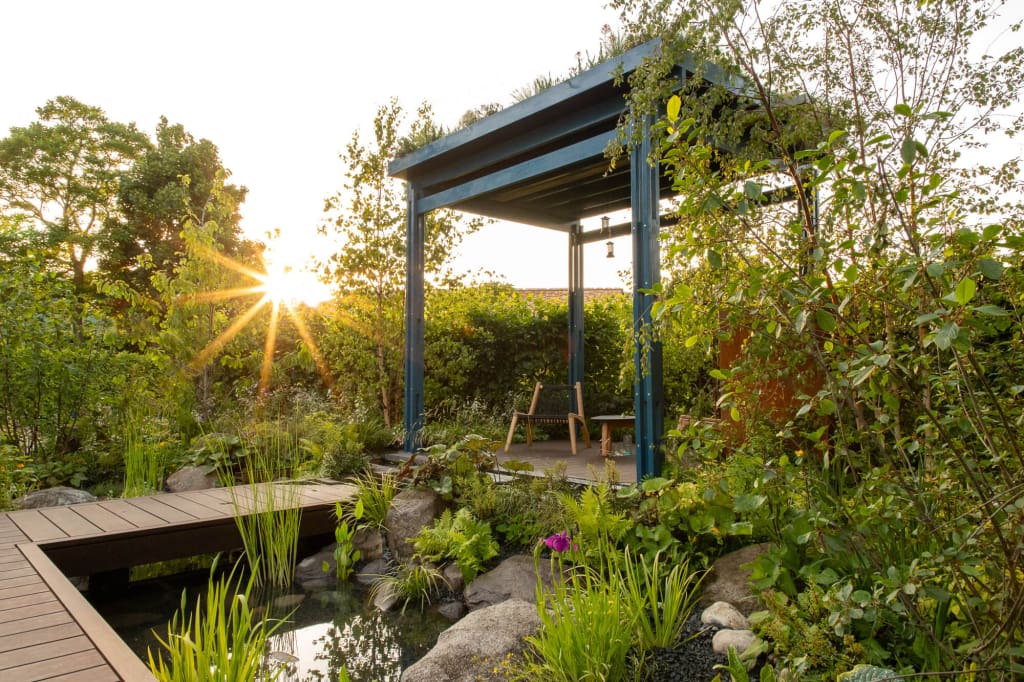 Sun going down on our BBC GWL show garden